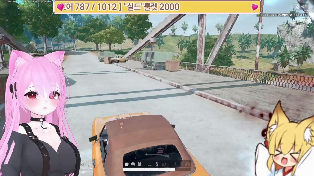니코냥 라이브 썸네일