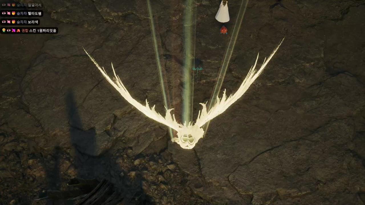 옆집사는상어 라이브 썸네일