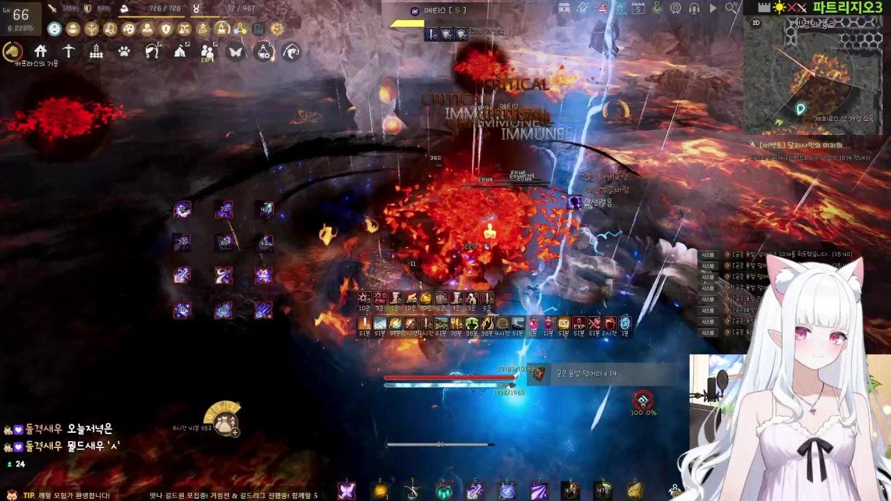 코 코 님 라이브 썸네일