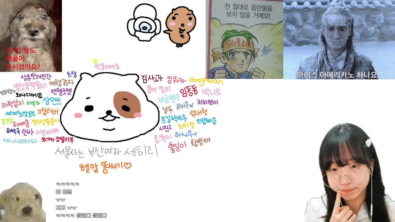 세히리 라이브 썸네일