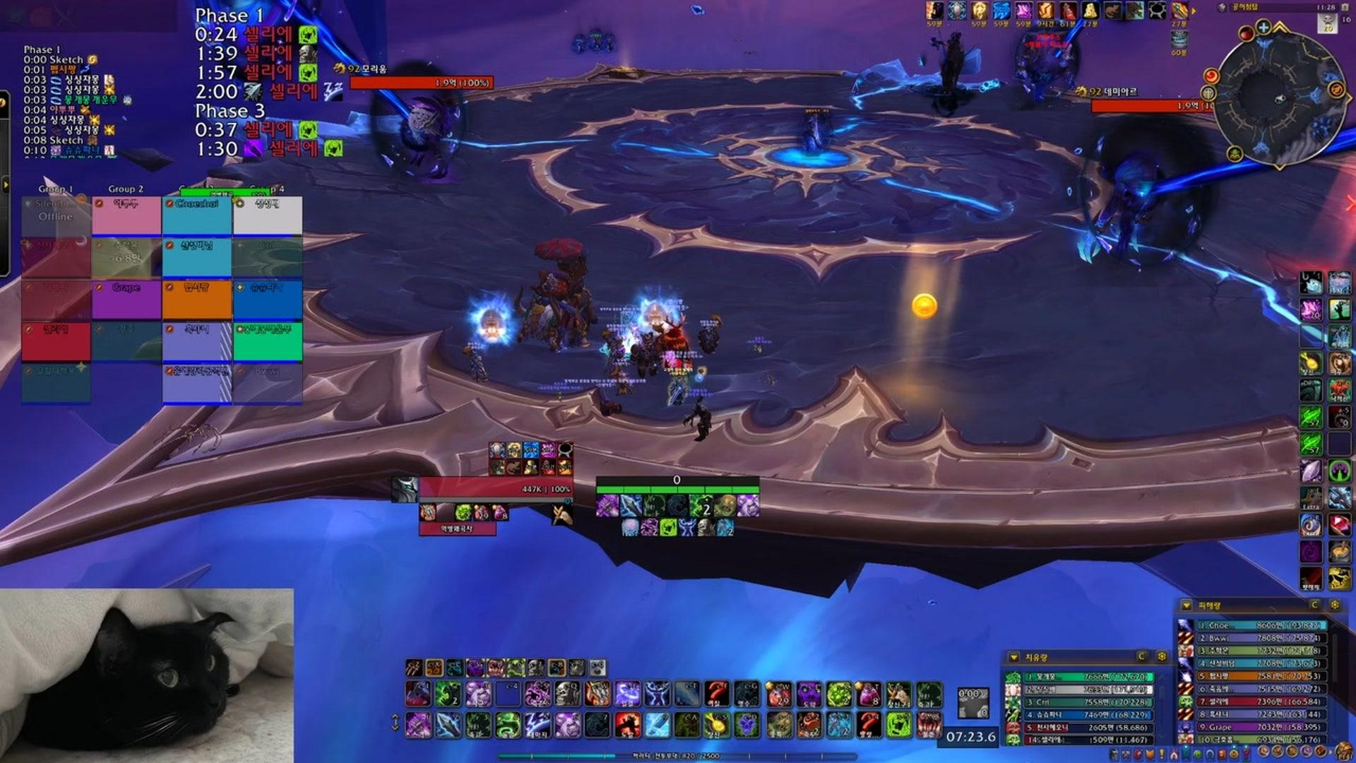 Selye - 월드 오브 워크래프트: 내부 전쟁