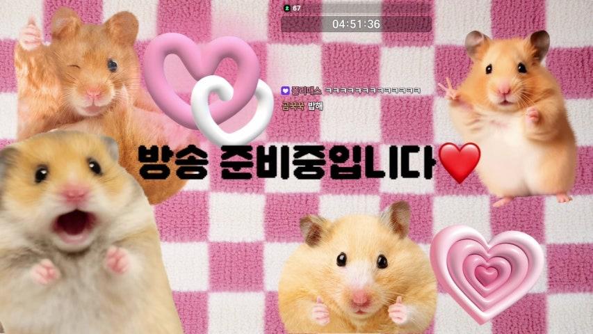 이타eatha 라이브 미리보기