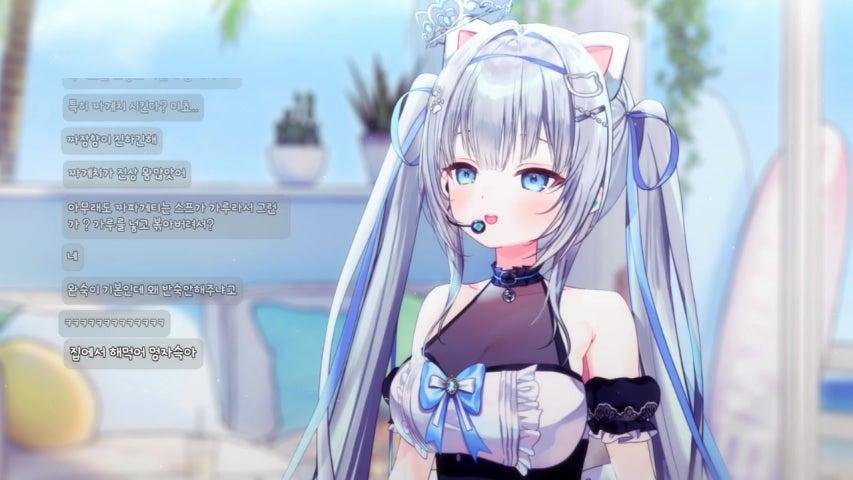 점심 고앵이 왔어요!!   ꜀(^. . ^꜀ )੭