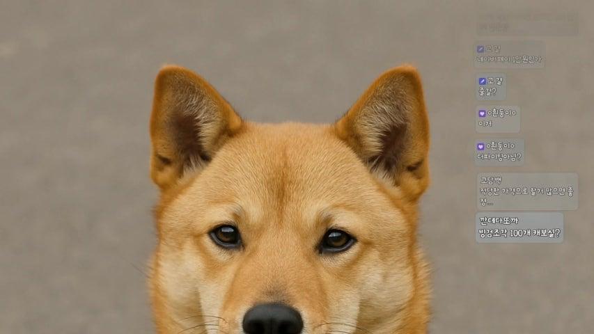 방송화면 썸네일