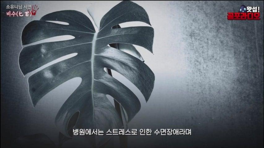 방송화면 썸네일