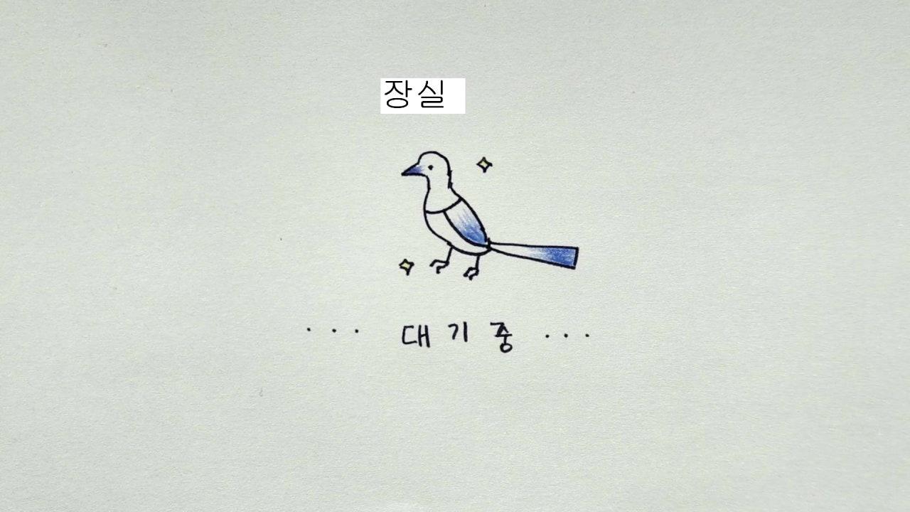 사로카 saroka 라이브 썸네일