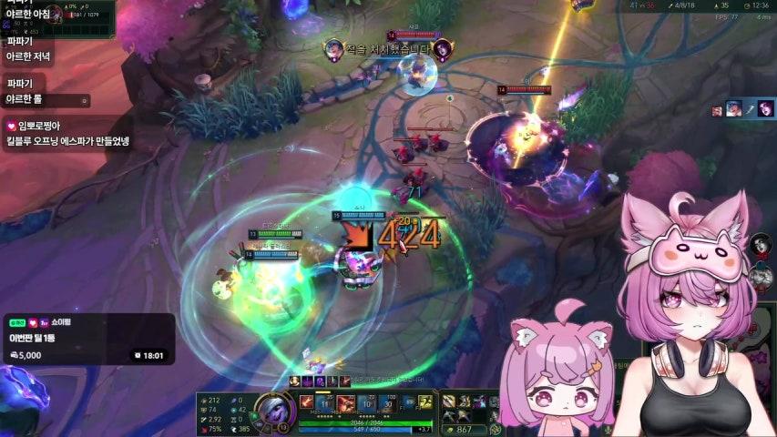 웹냥이 라이브 미리보기