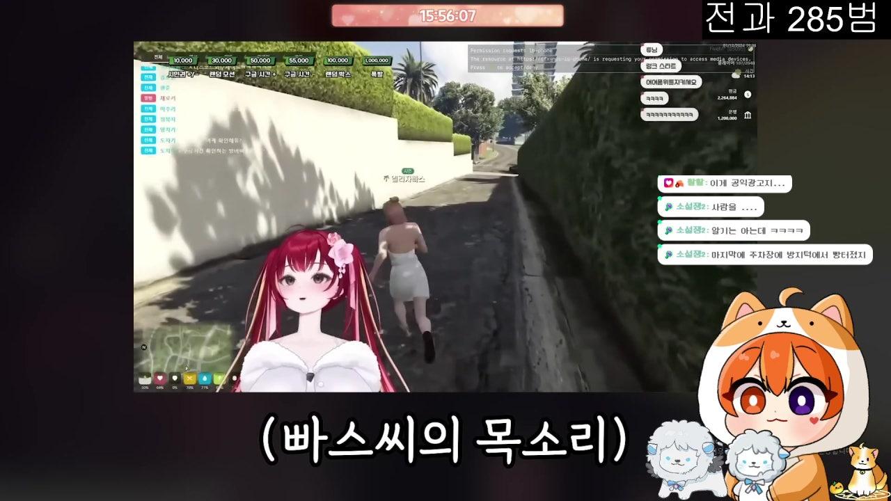 넬다 라이브 썸네일