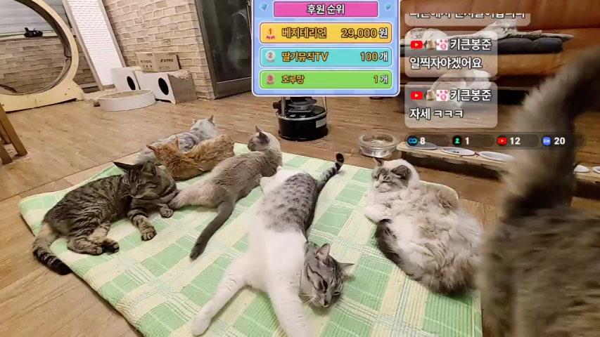 방송화면 썸네일