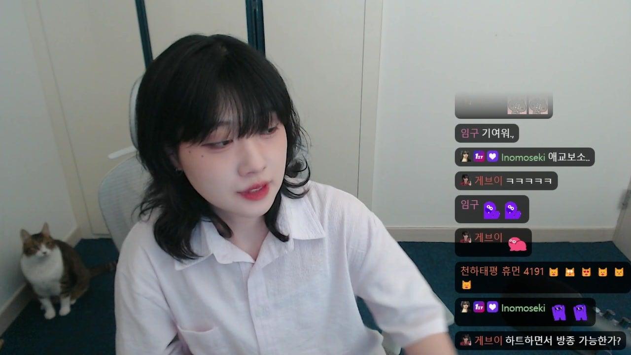 이호범 라이브 썸네일