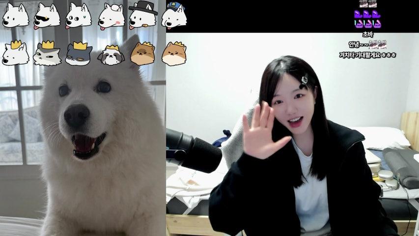 방송화면 썸네일