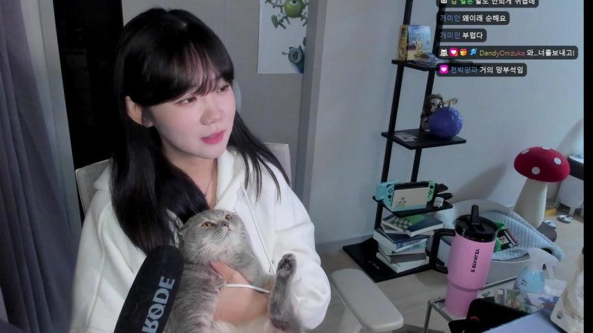 하이하이네