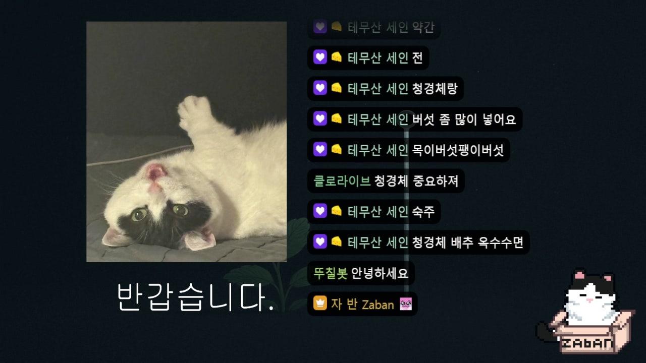 자 반 Zaban 라이브 썸네일