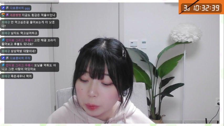 초 사 라이브 미리보기