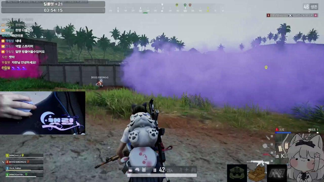 캣링잉 라이브 썸네일