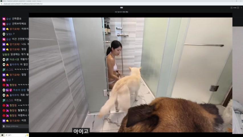쭈르야 라이브 미리보기