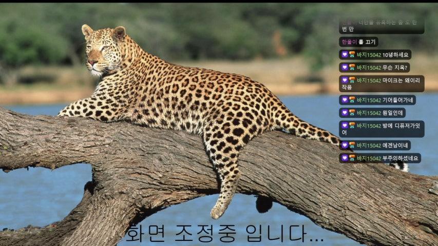 방송화면 썸네일