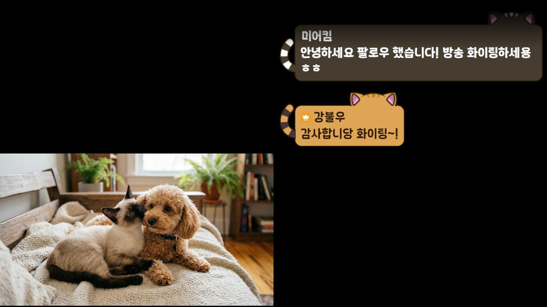 강불우 - 명일방주: 엔드필드