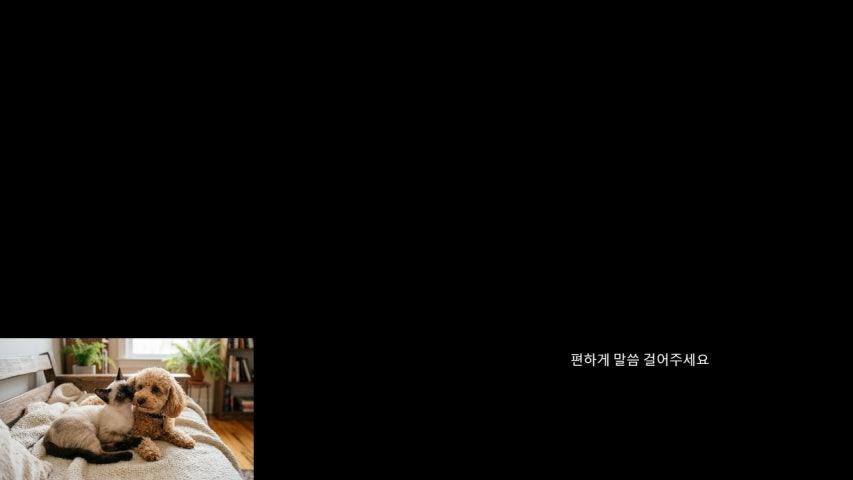 방송화면 썸네일