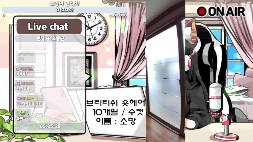 방송화면 썸네일