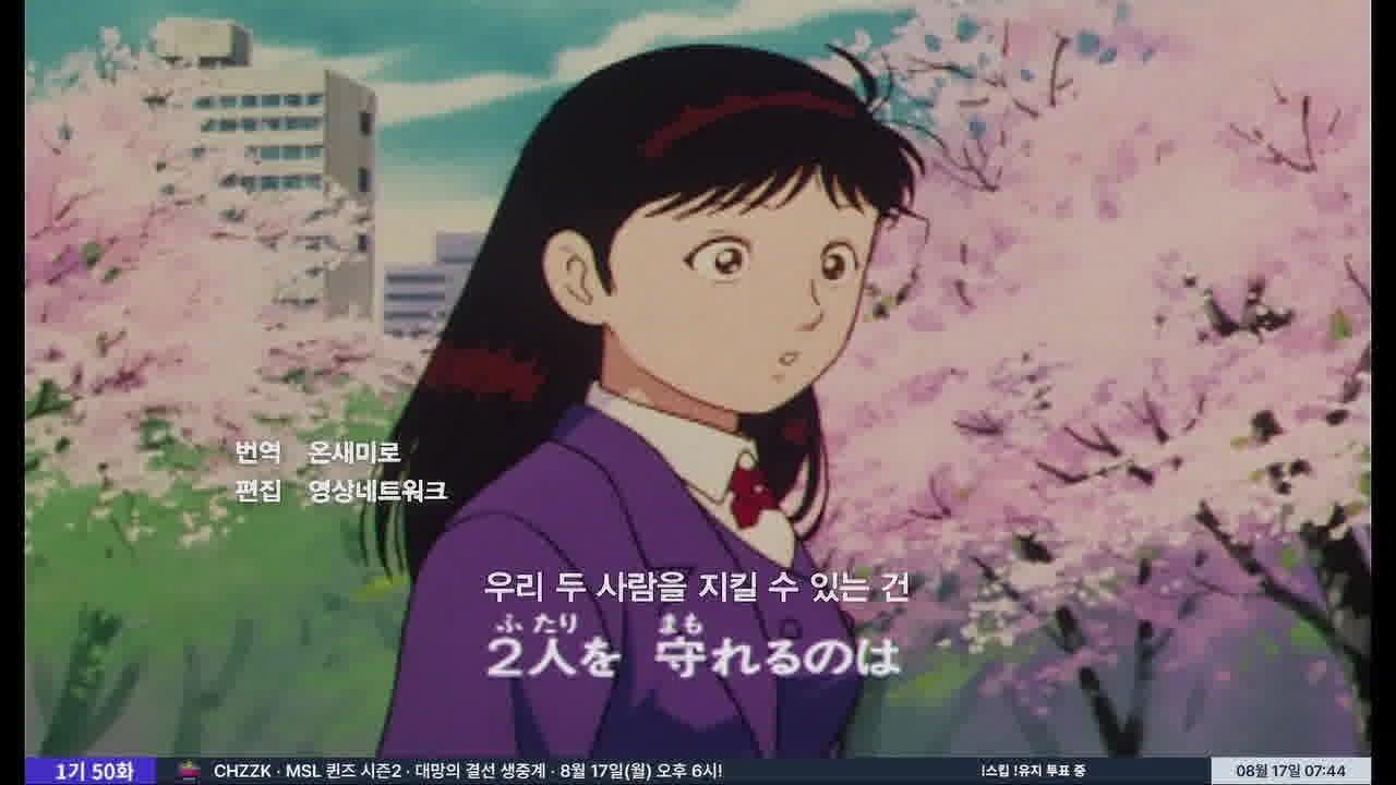 하루종일 같이보기 라이브 썸네일