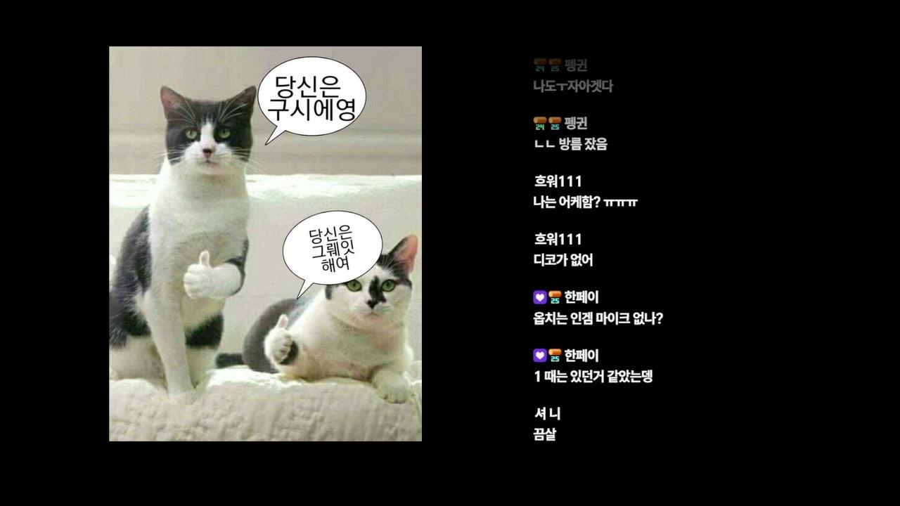 DARAM G 라이브 썸네일