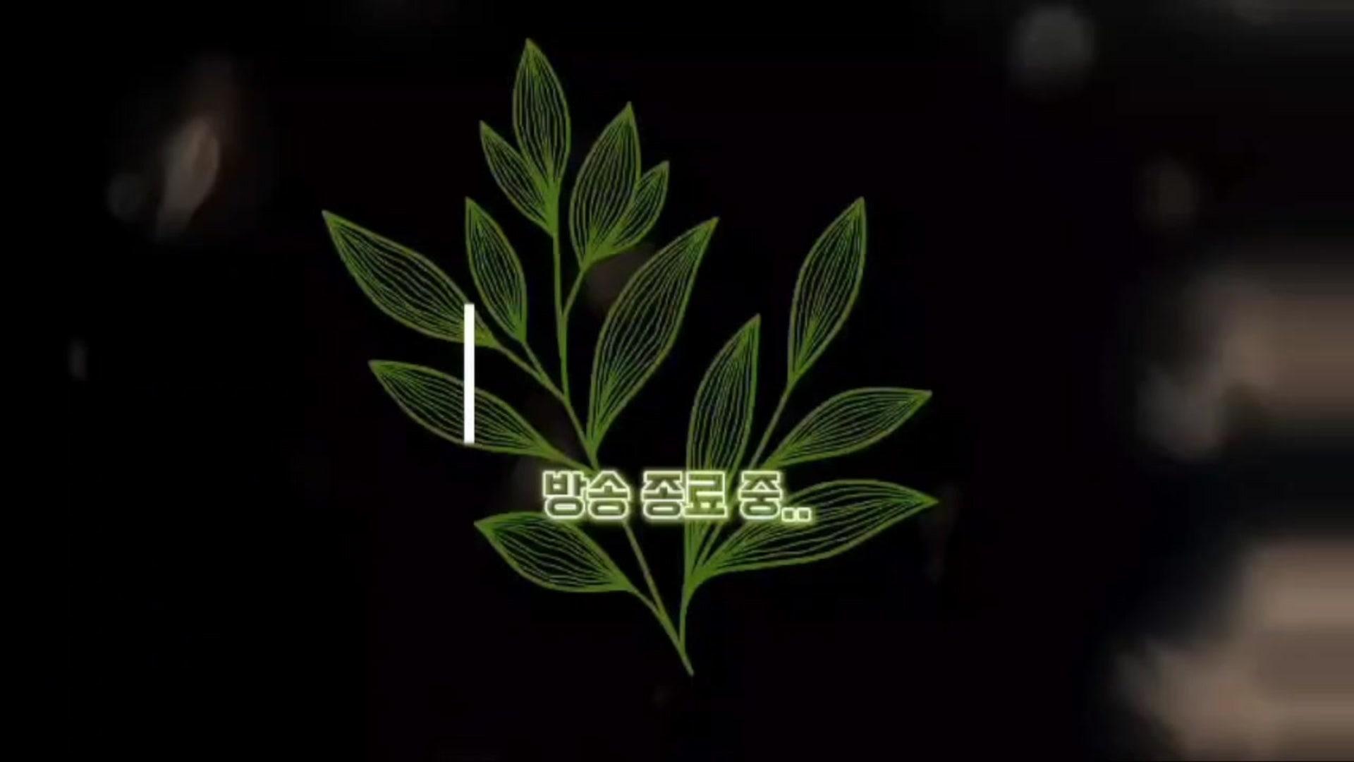 티밈씨 - 림버스 컴퍼니