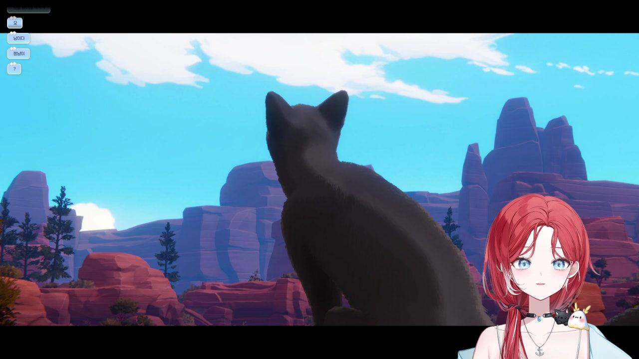 이치카 히비 라이브 썸네일