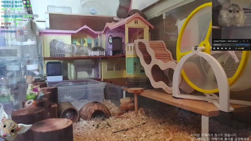 방송화면 썸네일