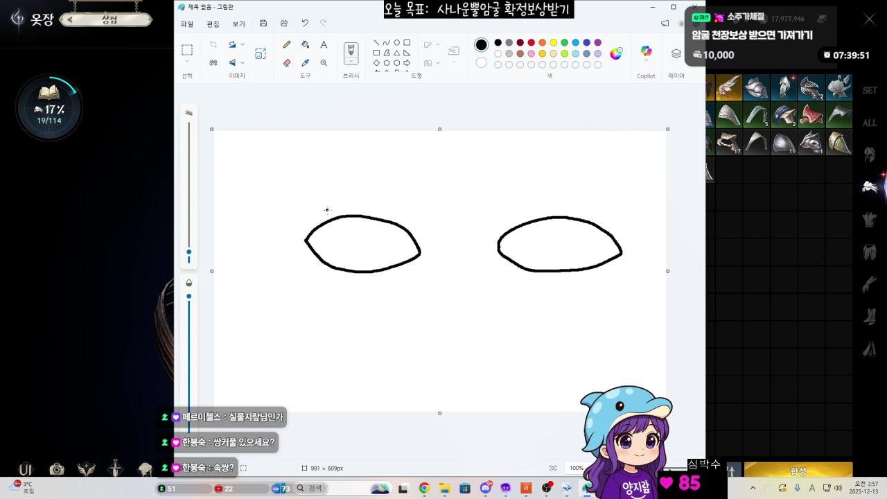 양지랖 라이브 썸네일