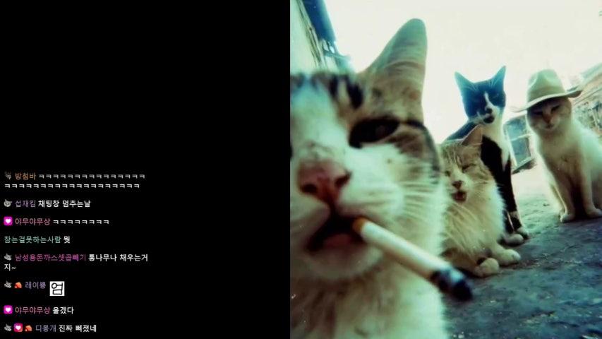 방송화면 썸네일