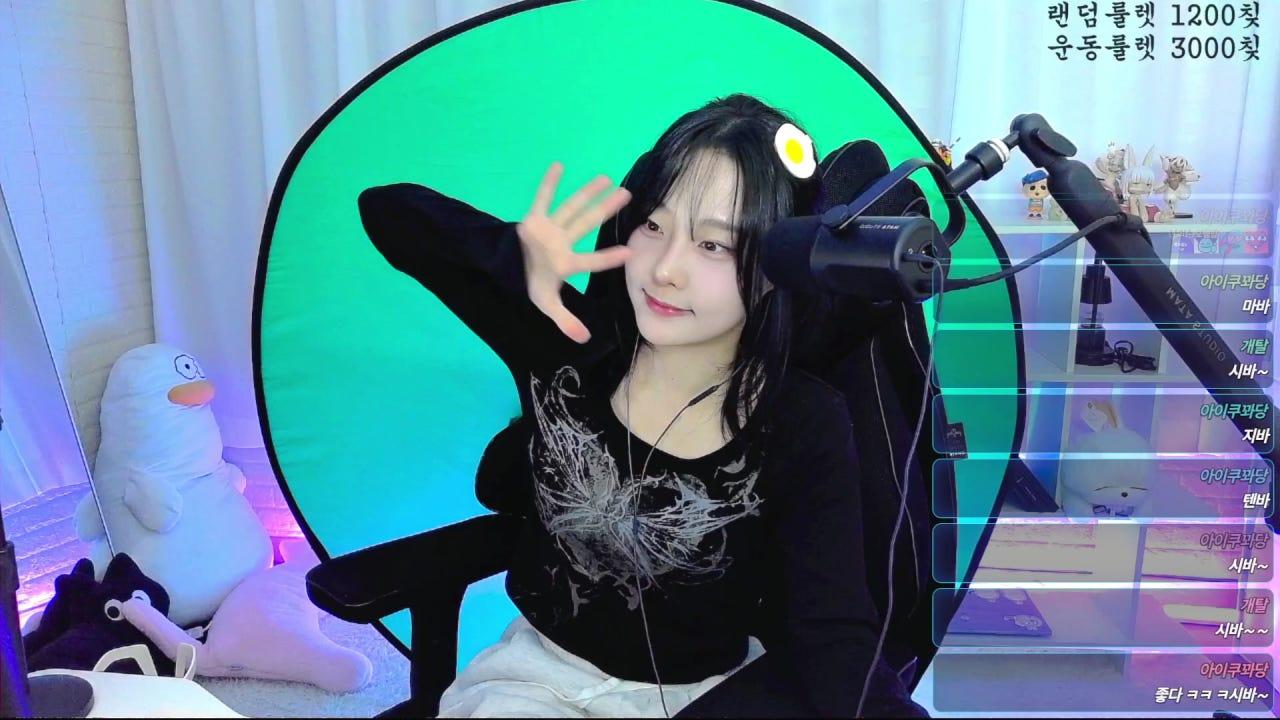 님캣 NIMCAT 라이브 썸네일