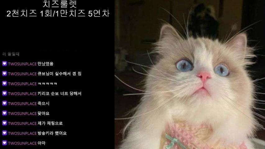 방송화면 썸네일