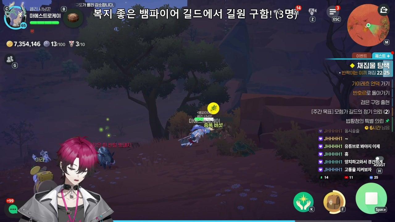 마에스트로 케이 라이브 썸네일