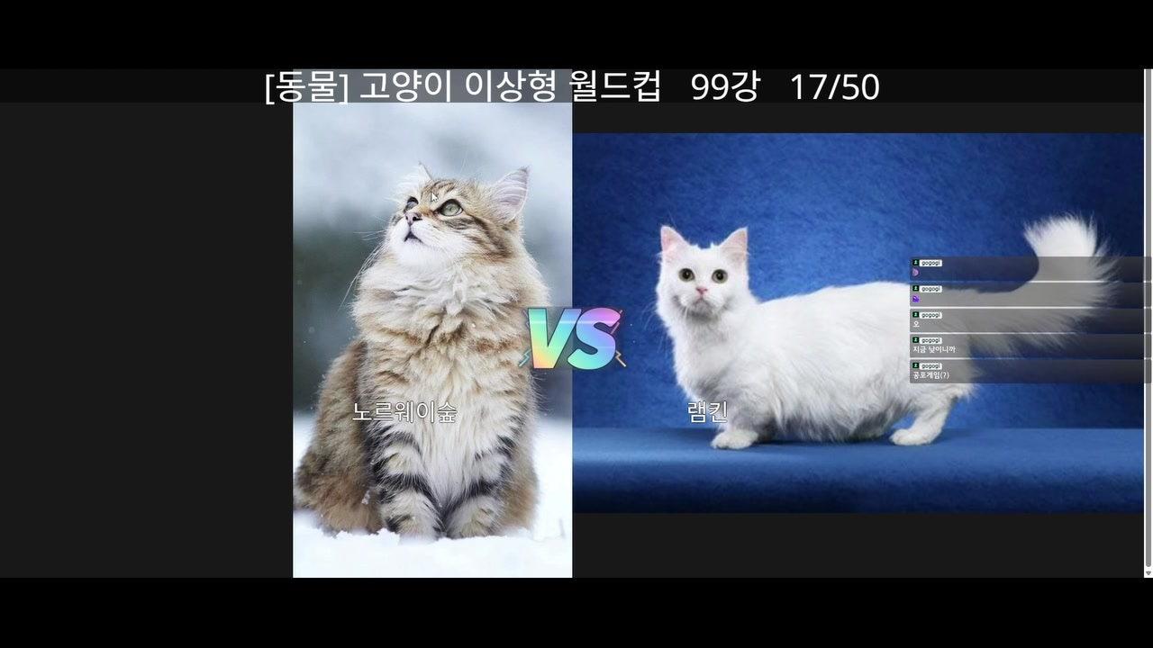 라이브 썸네일
