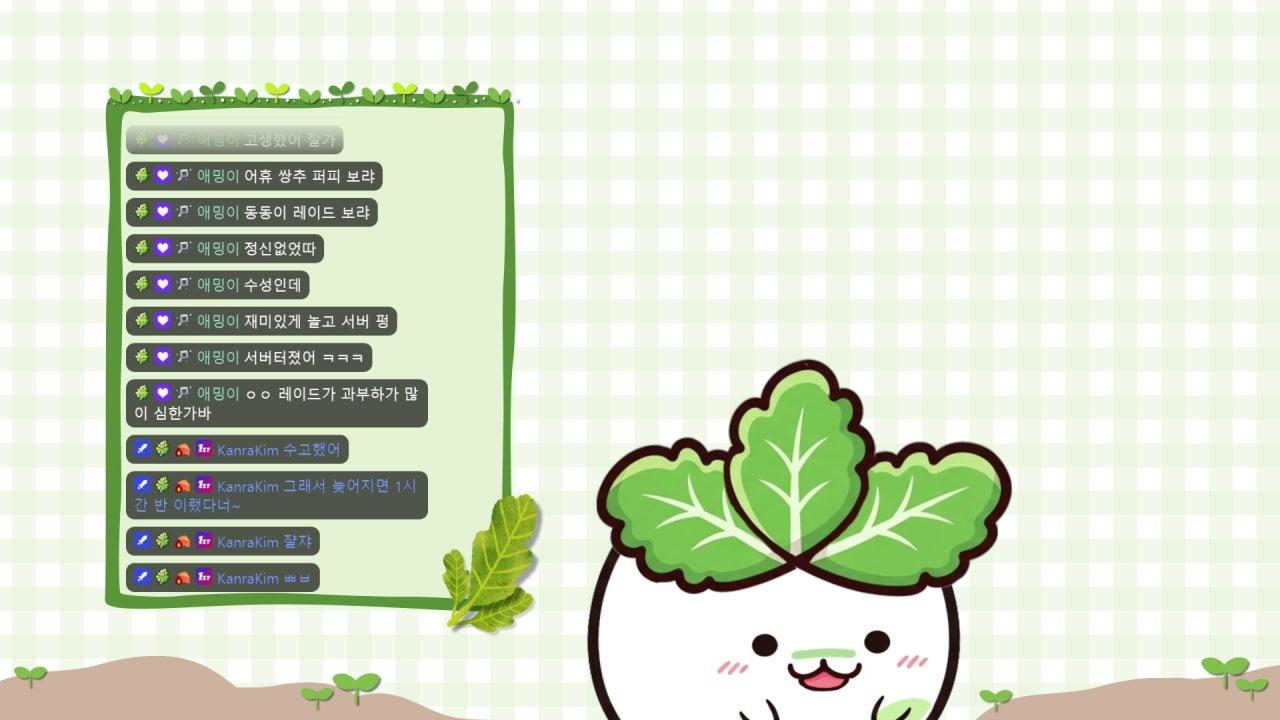 꼼쌍추 라이브 썸네일