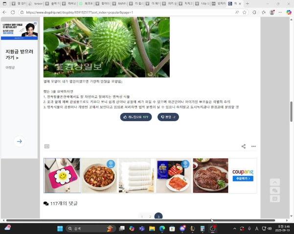 방송화면 썸네일