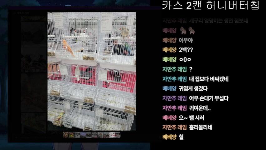 방송화면 썸네일