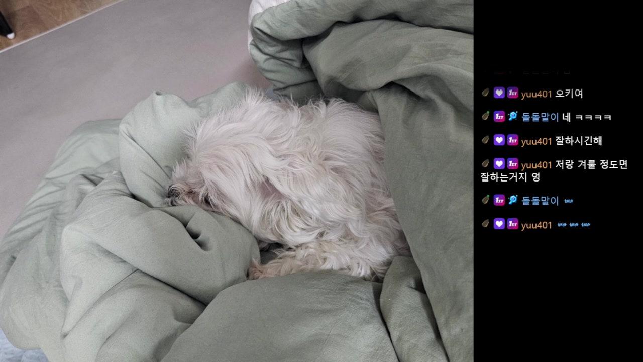 해나Hannah 라이브 썸네일