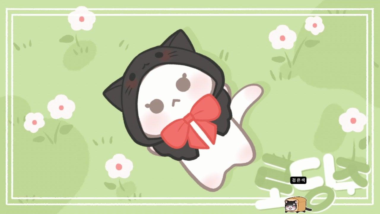 릴노아 라이브 썸네일