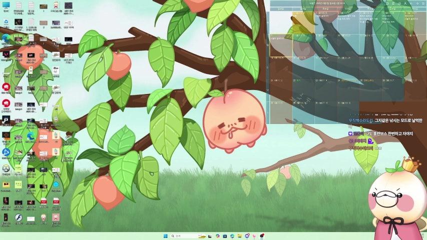 방송화면 썸네일