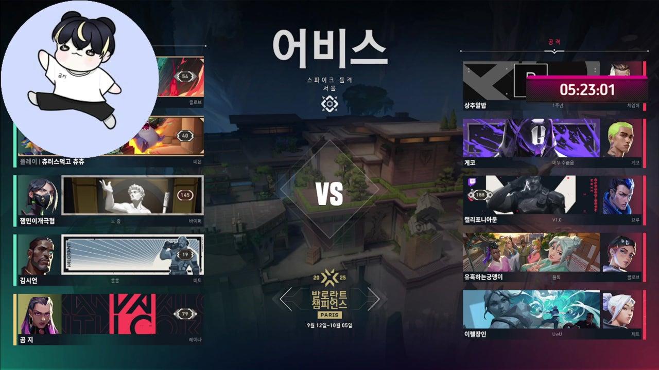 곰 지 라이브 썸네일
