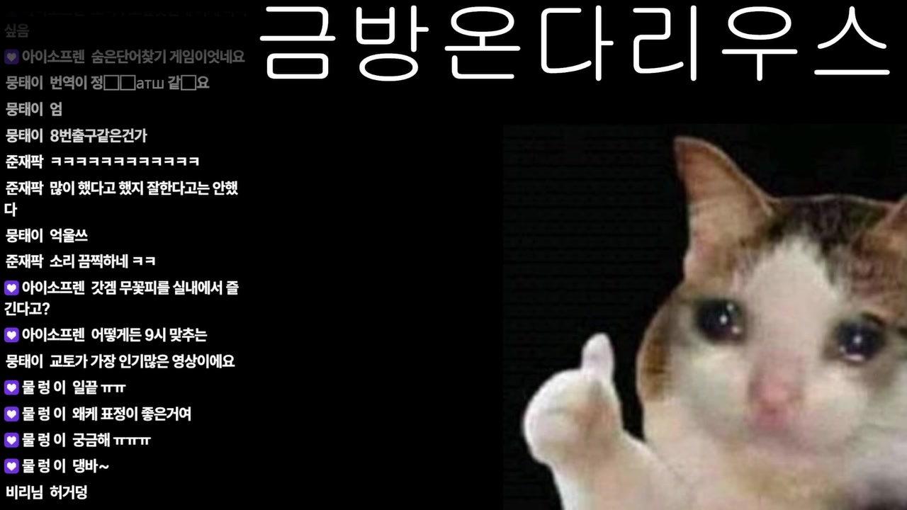 댕맹 라이브 썸네일