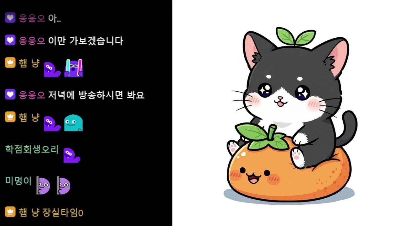 햄 냥 라이브 썸네일