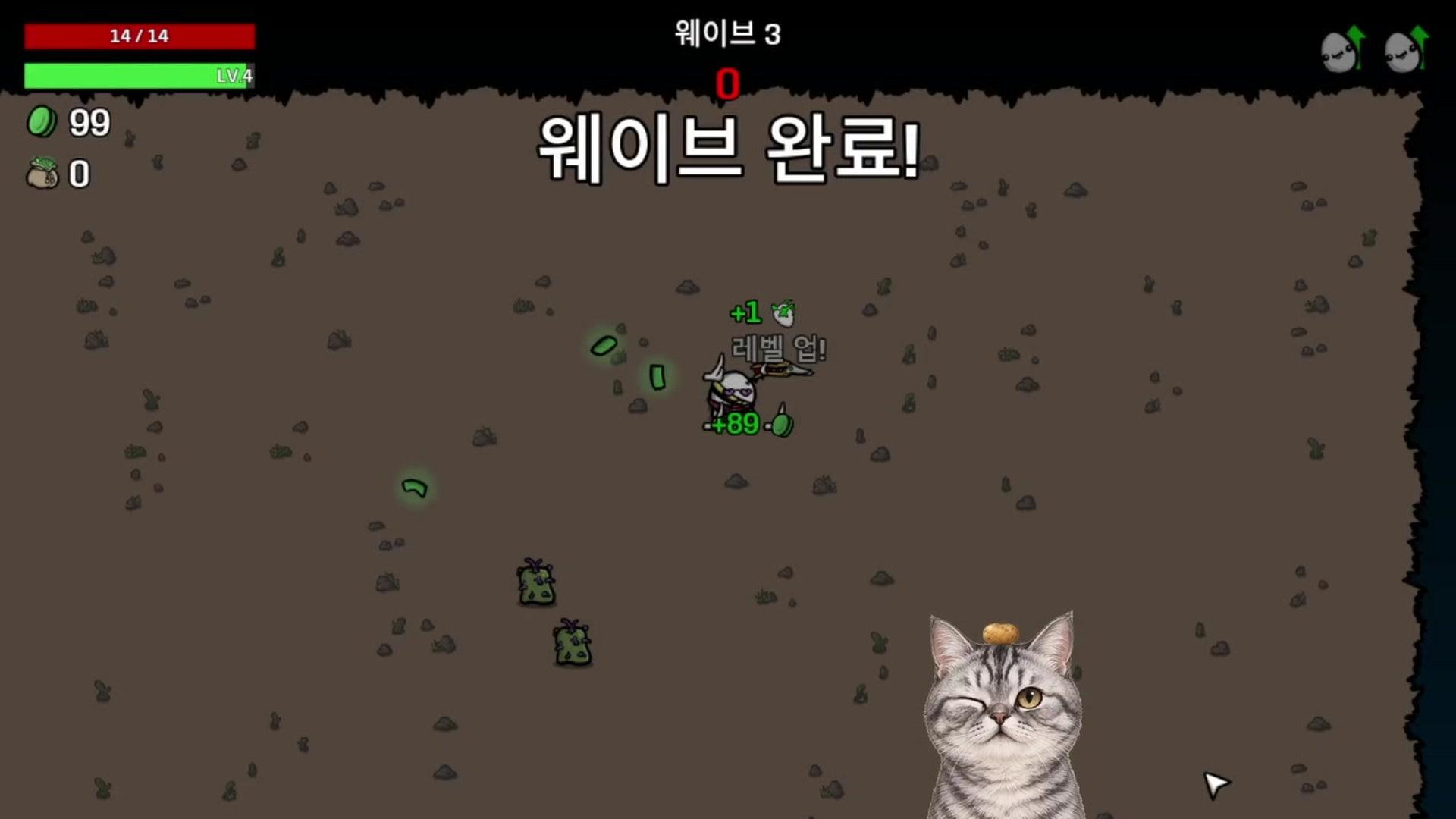 다오감자 - 브로테이토