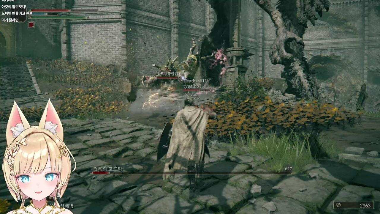 로즈가 트리가드를 잡겠다고 합니다