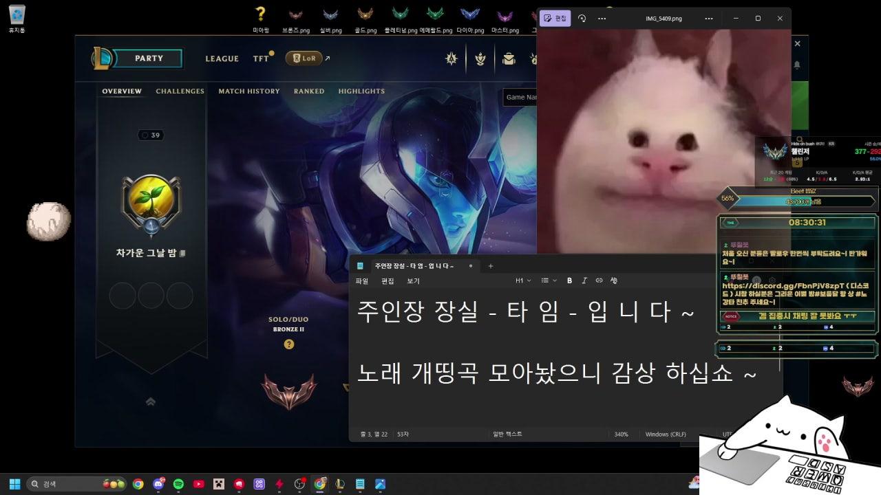 비트 Beet 라이브 썸네일