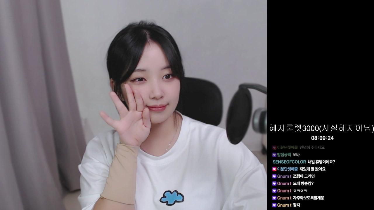 다마고치 키우기 할사람