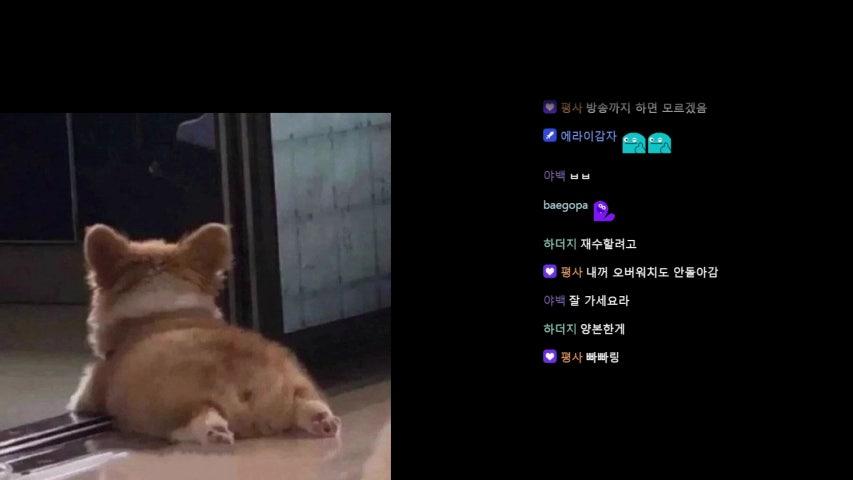 방송화면 썸네일