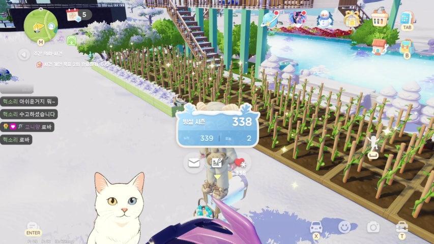 로마산양 라이브 이미지